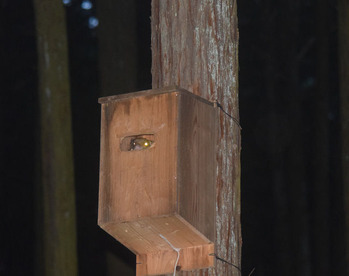 1-DSC_0550