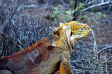 8b661784.JPG