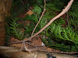 P1040311