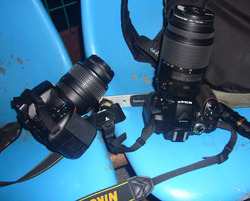 3-P1080459