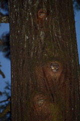 DSC_0205