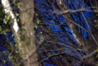 1-DSC_0173