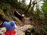 縄文杉トレッキング