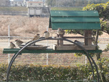 112ae9a6.jpg