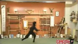 Iran Ninja Women イラン·イスラム共和国のくノ一