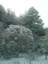 6c076f5d.jpg