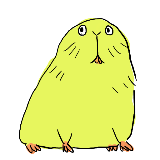 モルモットちゃん