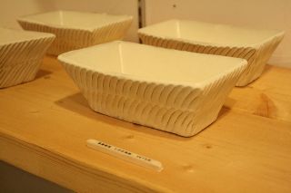 IMG_1875