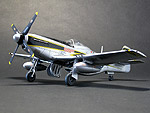 p51_01s