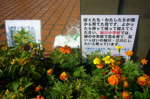 P1060982