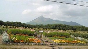 政田農園