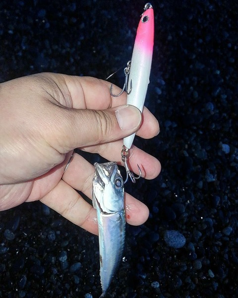 IMG_20180428_093928_625