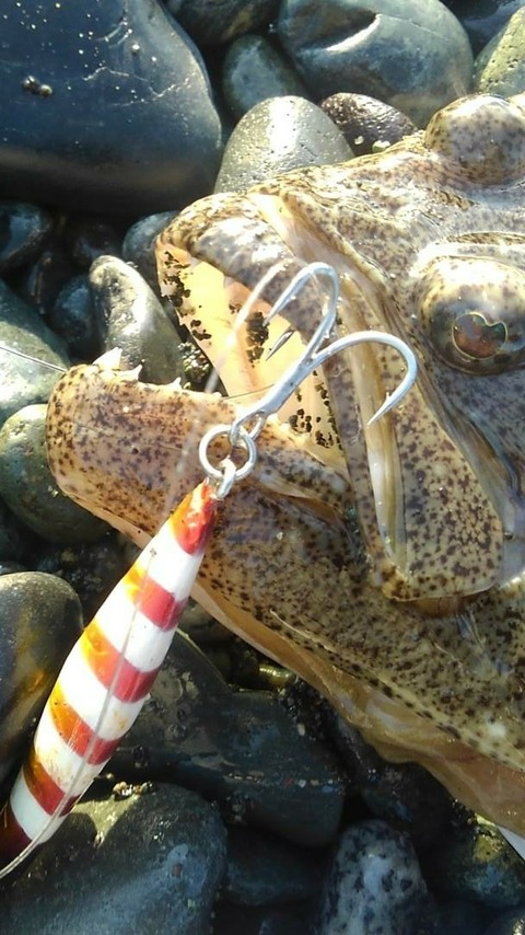 IMG_20171203_092107_923