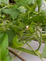 28f047bc.jpg