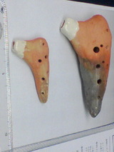 2d3b629a.jpg