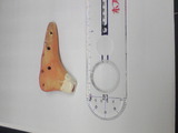 f21b5a93.jpg