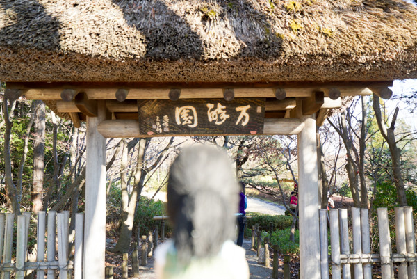 20161207-DSC04640