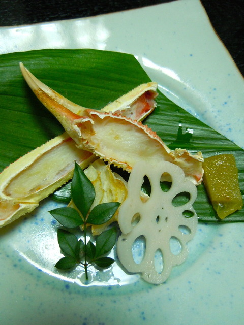 DSCN0586