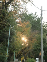 CIMG2547