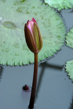 IMGP9696
