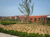 20100706weihai大学