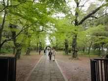 20150417ÅìÁµ»û£±