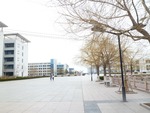 20120319¥á¥¤¥ó¥¹¥È¥ê¡¼¥È