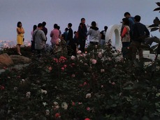 IMG_20160228_191200