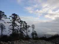 DSC02197