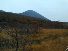 IMG_20151010_122937