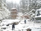 20120224普門寺3