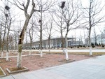 20120319±¦¼ê¡¢Í·±Ë´Û¤ÈÁí¹çʸÂÎ³èÆ°Ãæ¿´