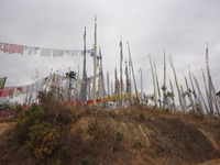 DSC02130