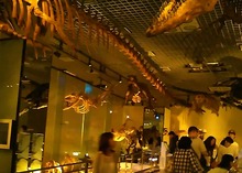 image%3A1285