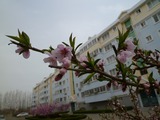 cfcb8574.jpg