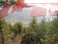 DSC02135