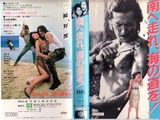 南へ走れ、海の道を