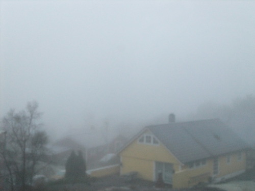DSCF1572