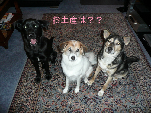 BlogPaint
