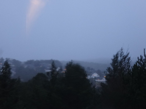 DSC00356