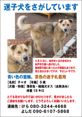 A4チャオ