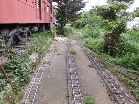 DSCF7583