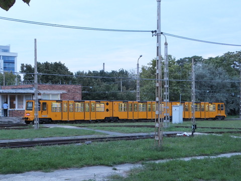 DSCF5979