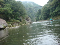 DSC00704
