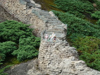 DSC00767