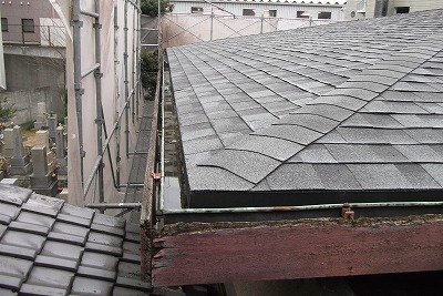 DSCF5447