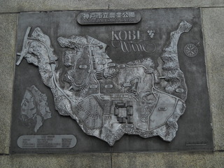 DSCN0484