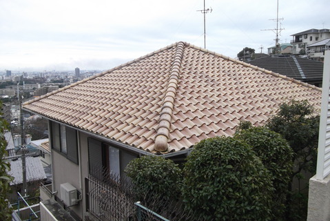 DSCF5463