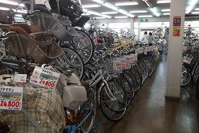 DSCF5591