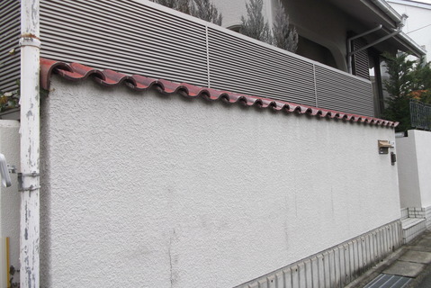 DSCF5453